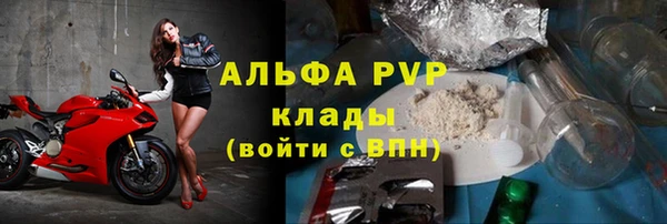 индика Рославль