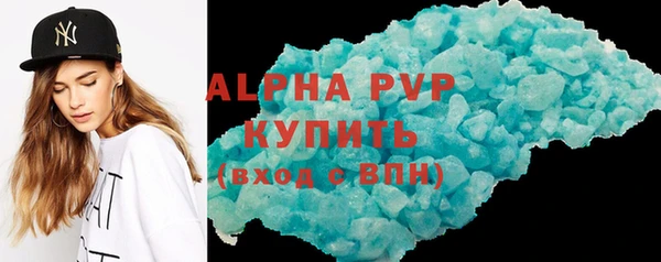 индика Рославль