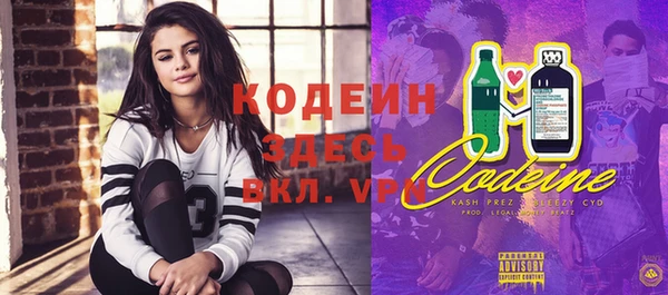 индика Рославль