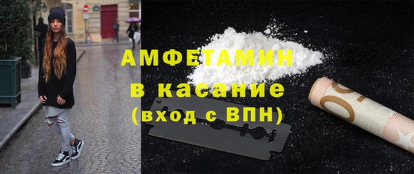 индика Рославль