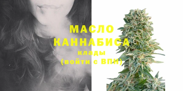 индика Рославль
