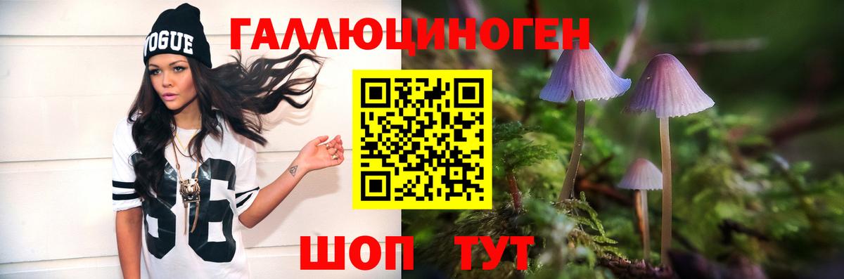 Галлюциногенные грибы мухоморы  Вход с VPN  Калининград  Псилоцибиновые грибы Psilocybe 